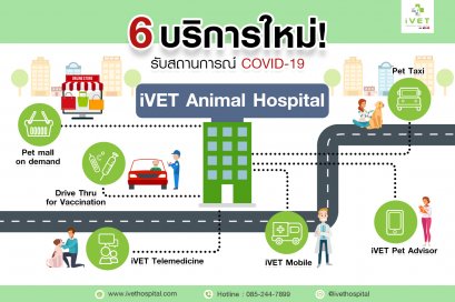 6 บริการใหม่ ยกระดับคุณภาพ เพิ่มความประทับใจ ปลอดภัยจาก COVID-19
